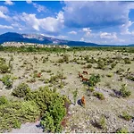 House Mellifera 4* Razvode