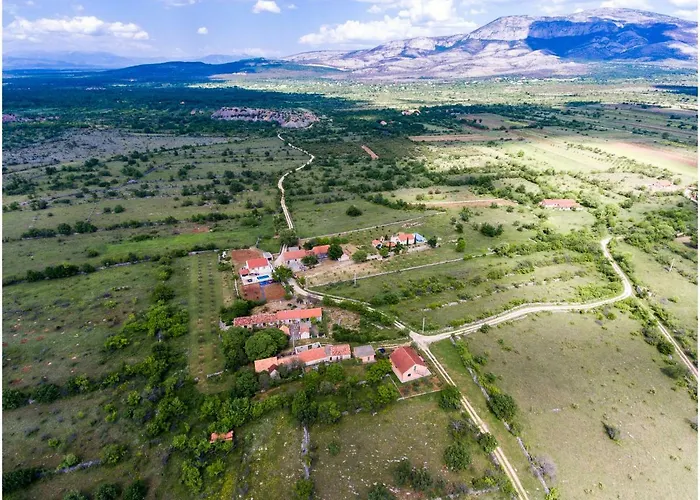 House Mellifera ゲストハウス