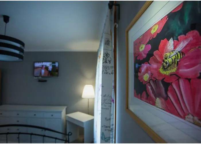 House Mellifera Razvode