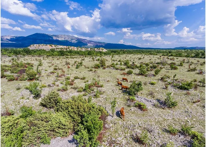 House Mellifera 4* Razvode