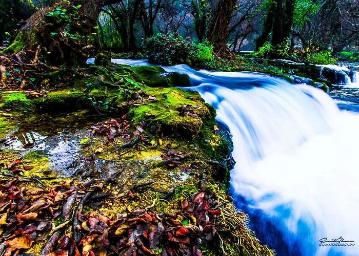 House Mellifera ゲストハウス 4*