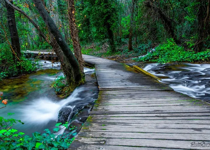 House Mellifera Razvode